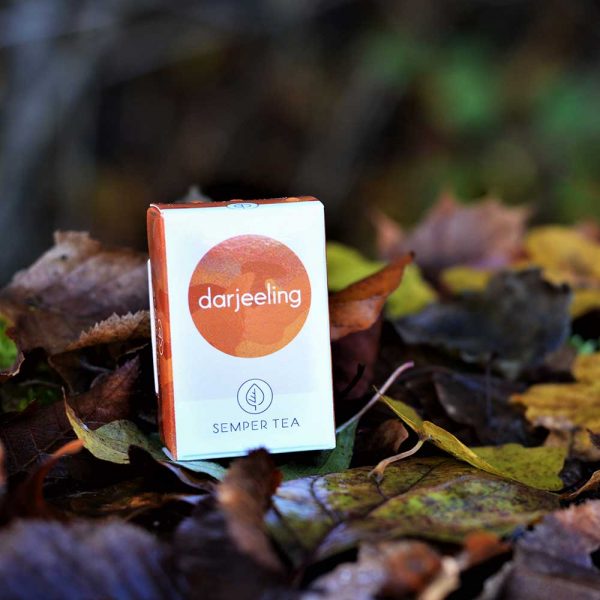 Té Darjeeling del Himalaya | Té pirámide biodegradable | Tea online Shop