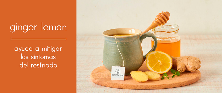 infusion jengibre y limon propiedades semper tea