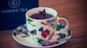 mayorista té ecologico apartamentos turísticos hosteleria habitaciones semper tea